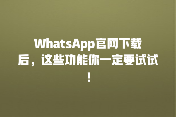 WhatsApp官网下载后,这些功能你一定要试试! 一