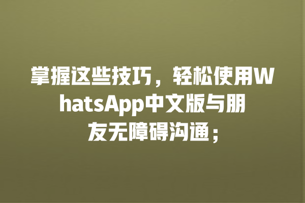 掌握这些技巧,轻松使用WhatsApp中文版与朋友无障碍沟通; 一