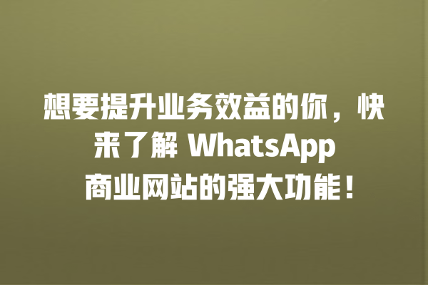 想要提升业务效益的你,快来了解 WhatsApp 商业网站的强大功能! 一