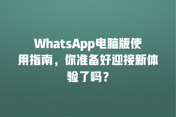 WhatsApp电脑版使用指南,你准备好迎接新体验了吗? 一