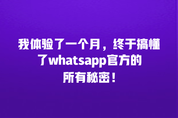 我体验了一个月,终于搞懂了whatsapp官方的所有秘密! 一