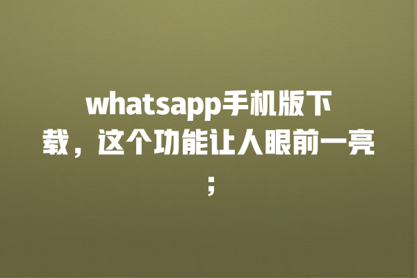whatsapp手机版下载，这个功能让人眼前一亮； 一