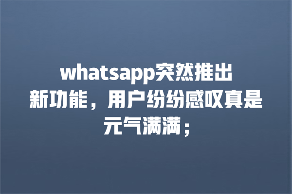 whatsapp突然推出新功能,用户纷纷感叹真是元气满满; 一