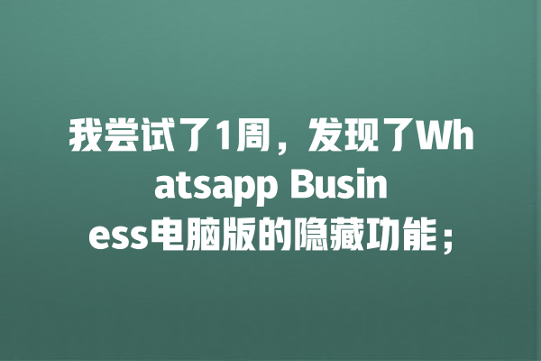 我尝试了1周,发现了Whatsapp Business电脑版的隐藏功能; 一