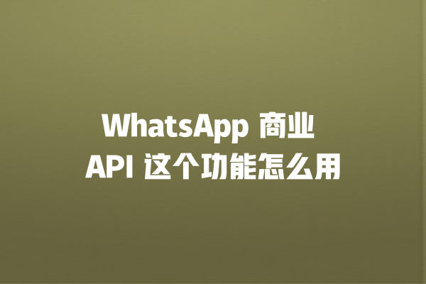 WhatsApp 商业 API 这个功能怎么用 一